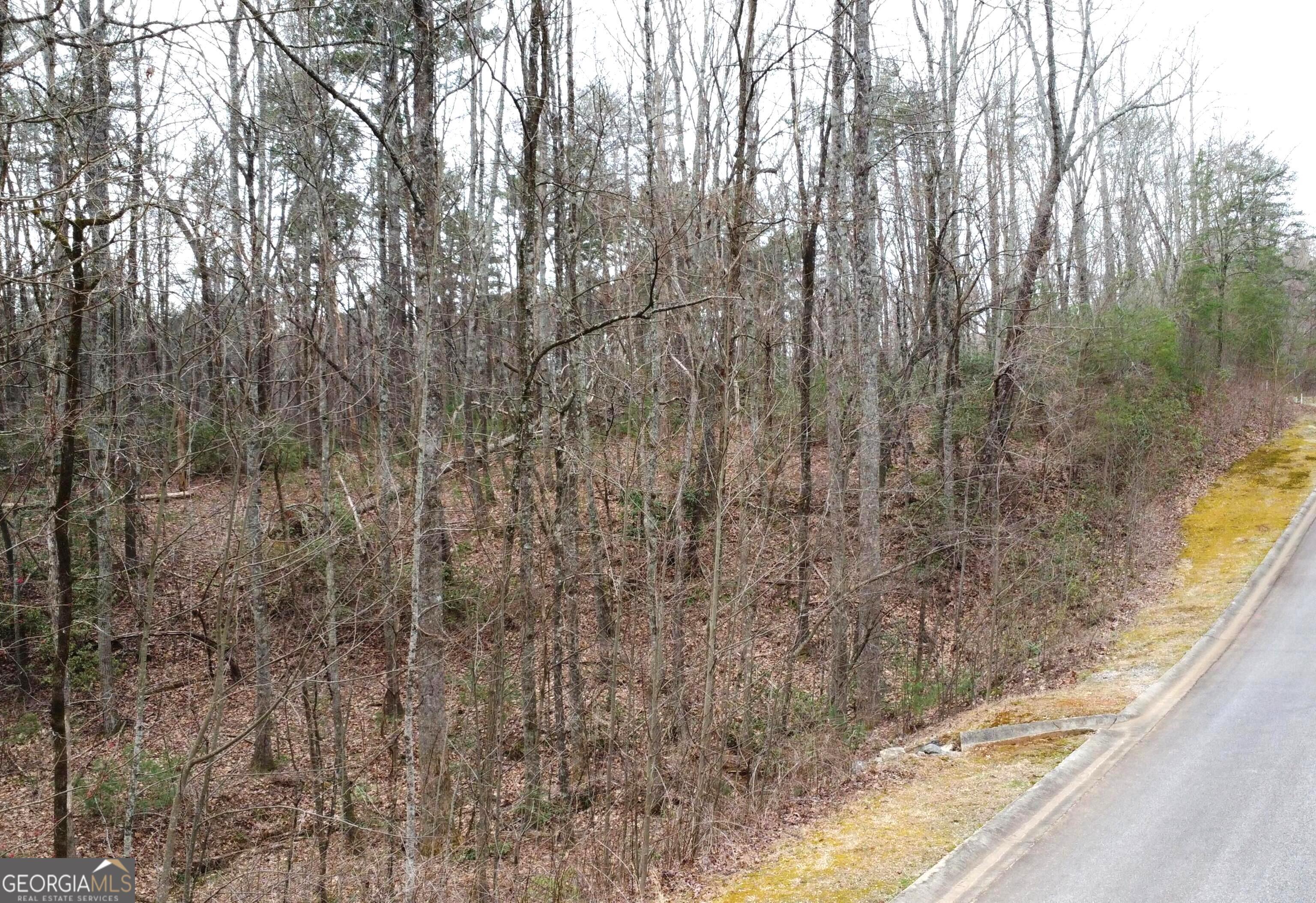 Lot 1446 Glazenwood Drive Clarkesville GA 30523