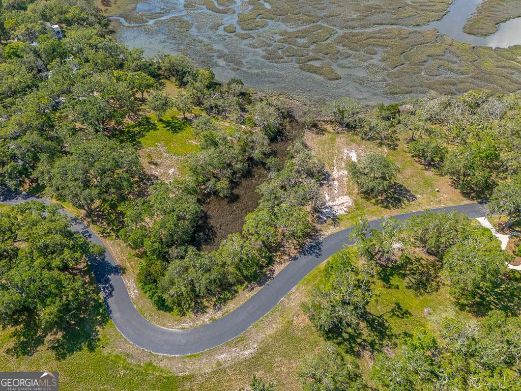Lot 226 Coppers Landing Drive NE Townsend GA 31331