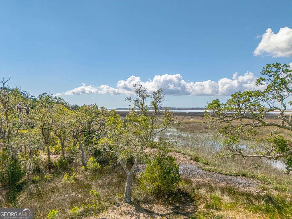 Lot 226 Coppers Landing Drive NE Townsend GA 31331
