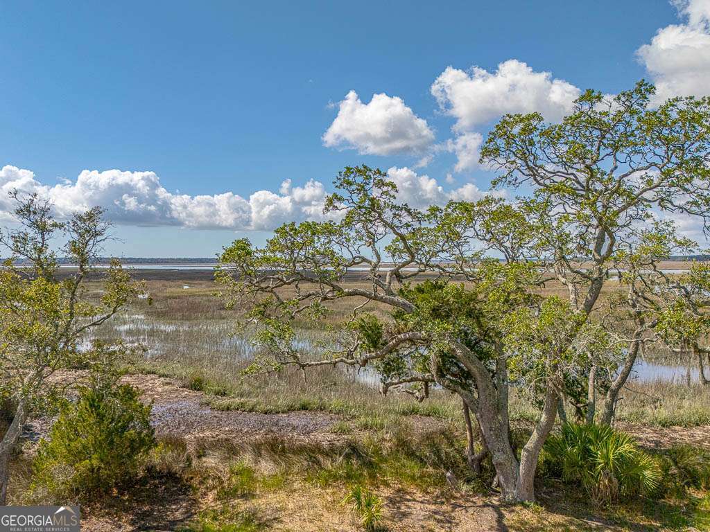 Lot 226 Coppers Landing Drive NE Townsend GA 31331