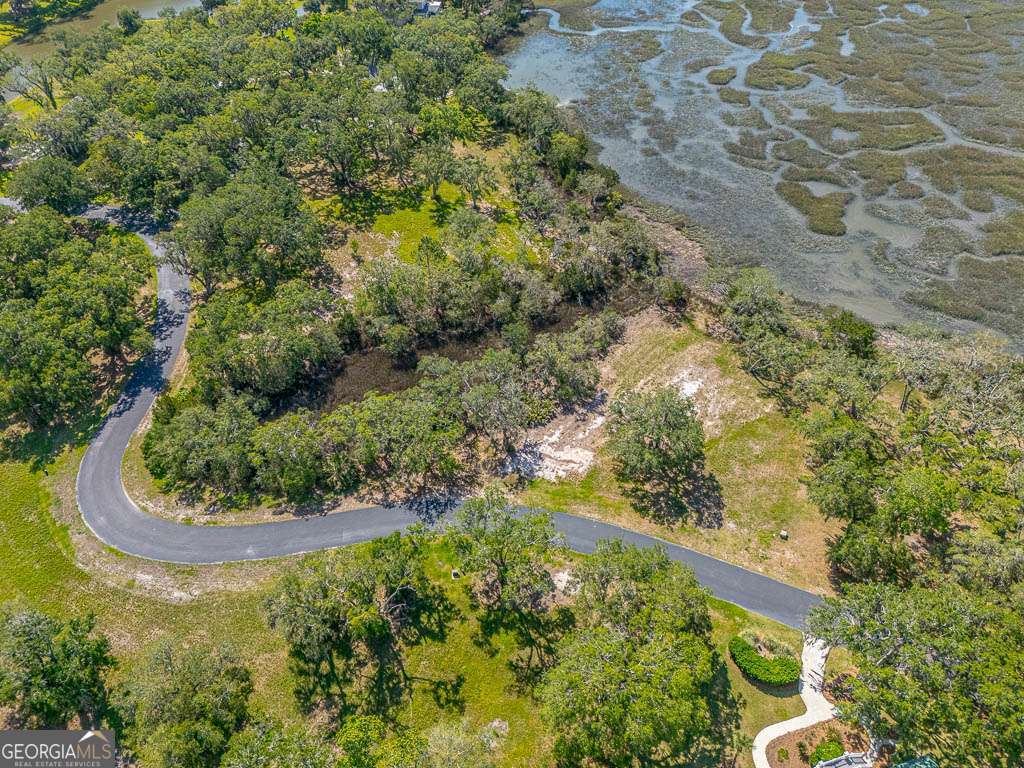 Lot 226 Coppers Landing Drive NE Townsend GA 31331