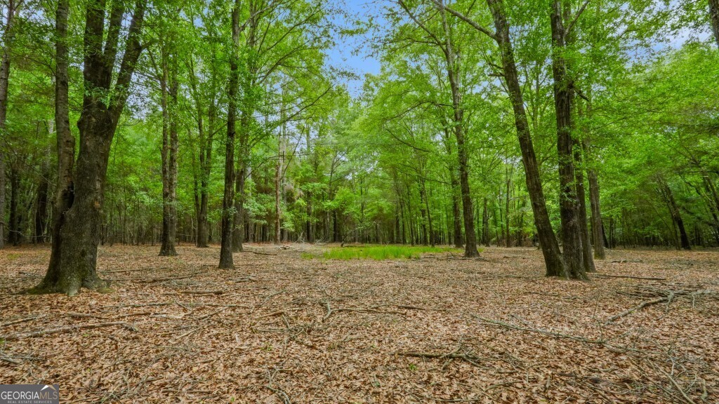 0 River Road Waynesboro GA 30830
