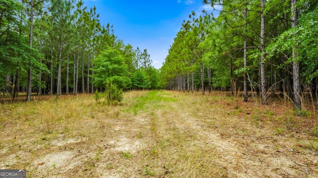 0 River Road Waynesboro GA 30830