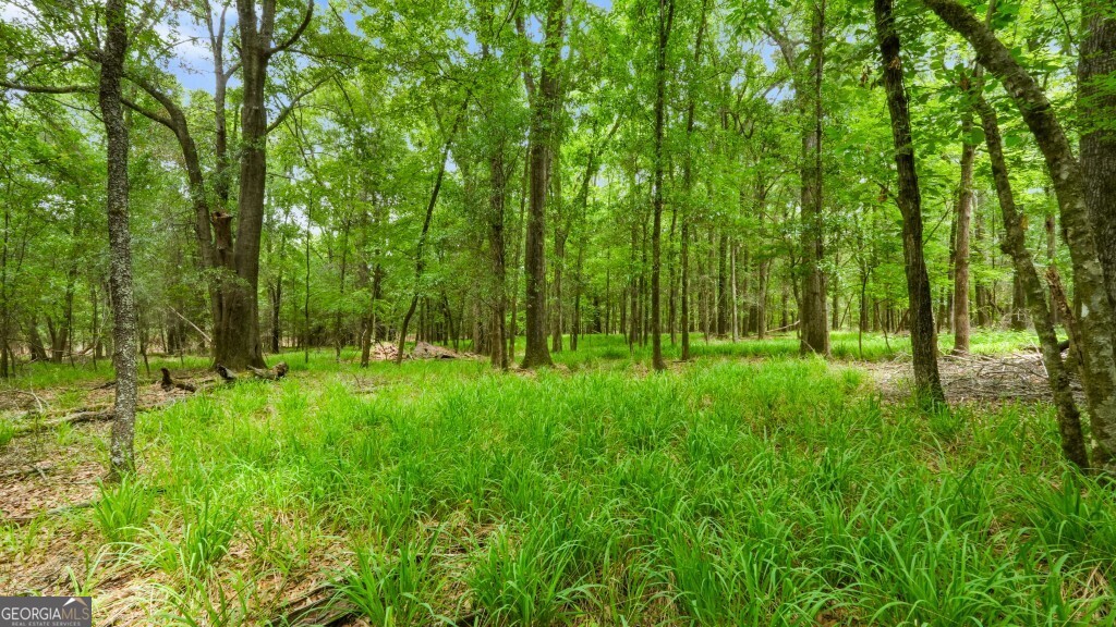 0 River Road Waynesboro GA 30830