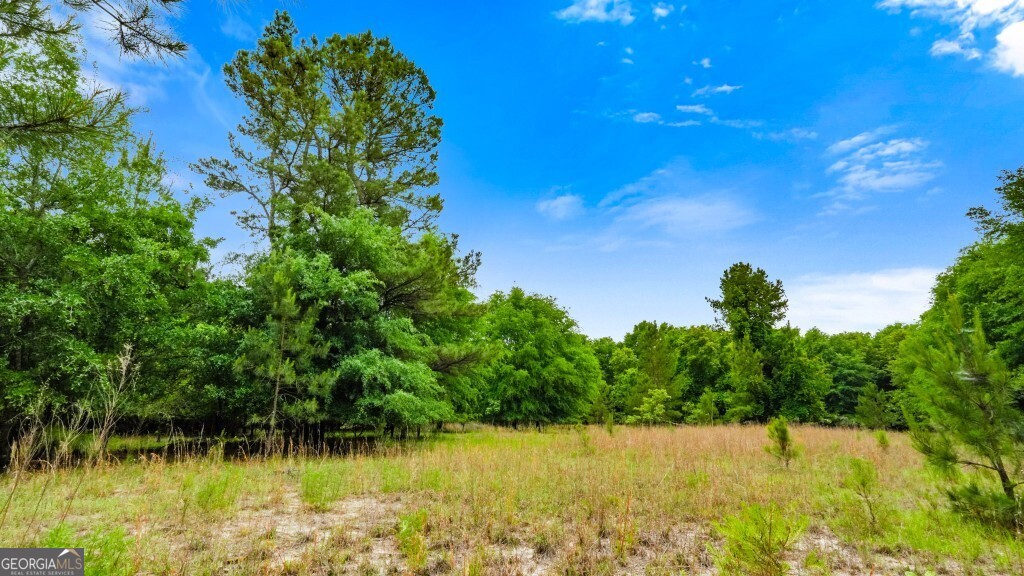 0 River Road Waynesboro GA 30830