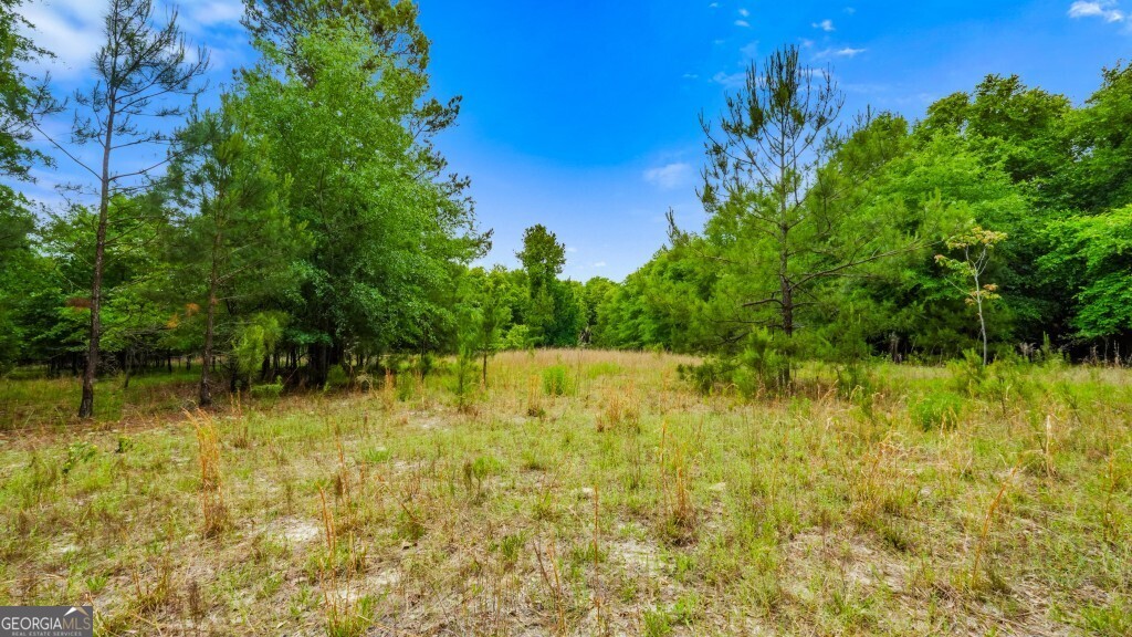 0 River Road Waynesboro GA 30830