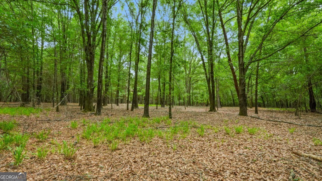 0 River Road Waynesboro GA 30830