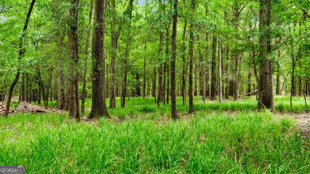 0 River Road Waynesboro GA 30830
