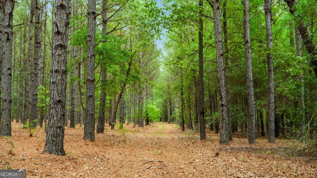 0 River Road Waynesboro GA 30830