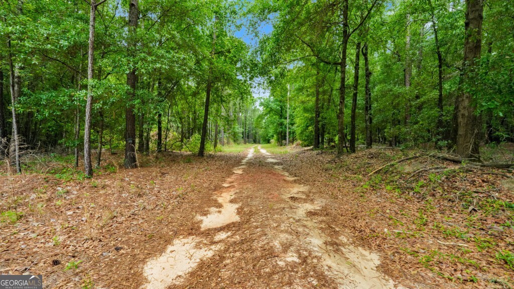 0 River Road Waynesboro GA 30830