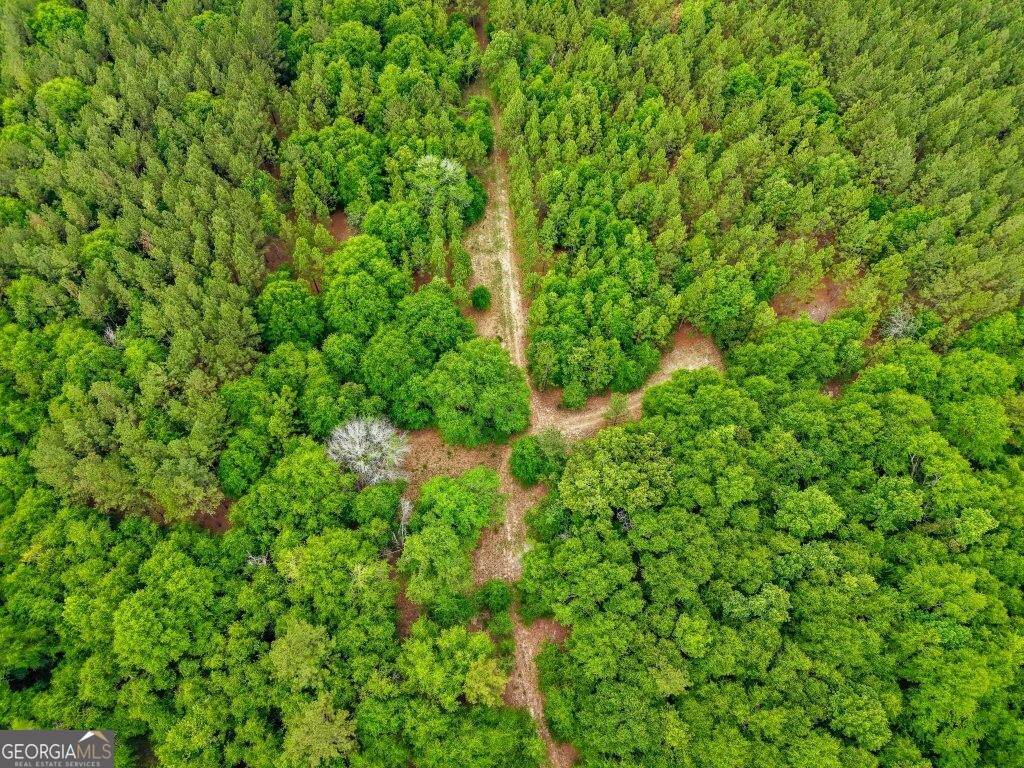 0 River Road Waynesboro GA 30830