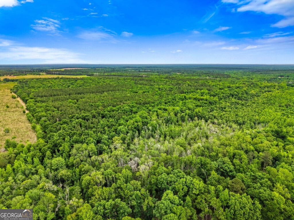 0 River Road Waynesboro GA 30830
