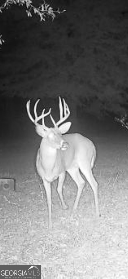0 River Road Waynesboro GA 30830