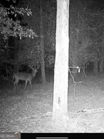 0 River Road Waynesboro GA 30830