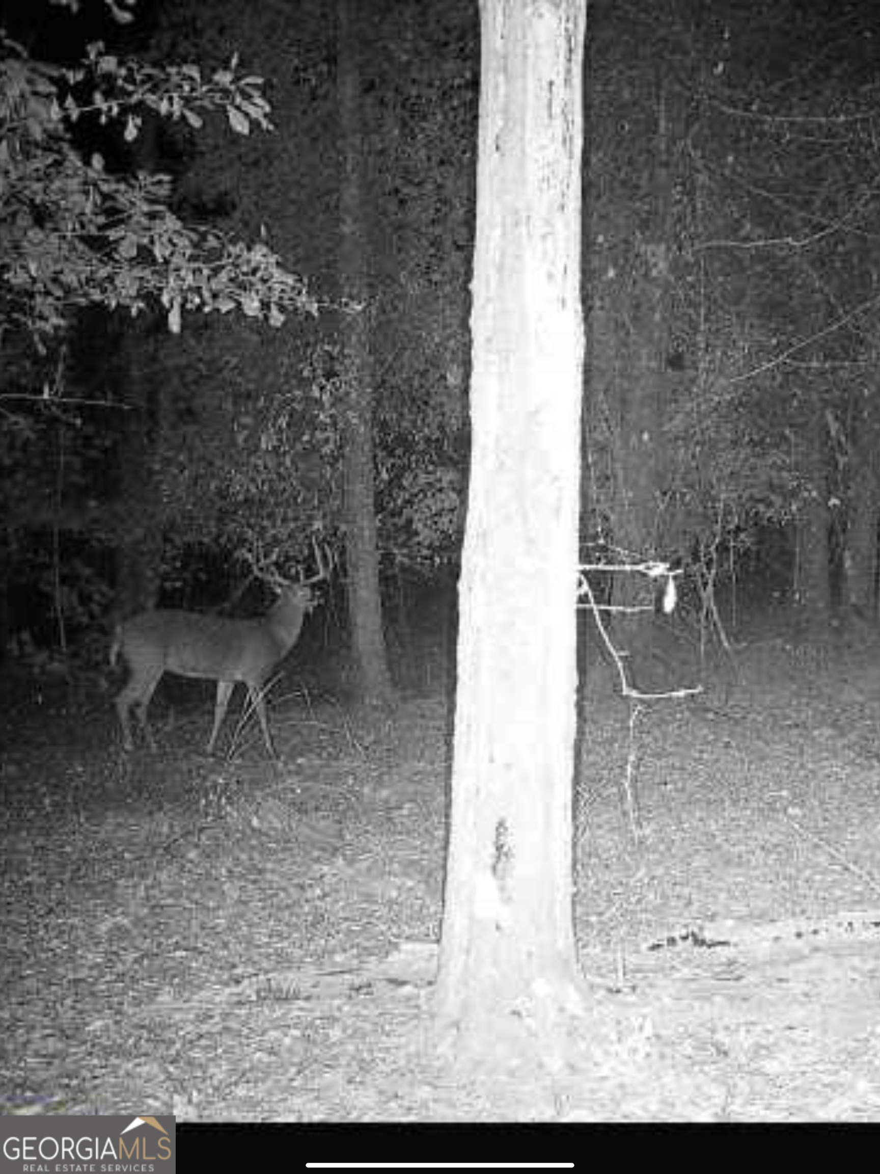 0 River Road Waynesboro GA 30830