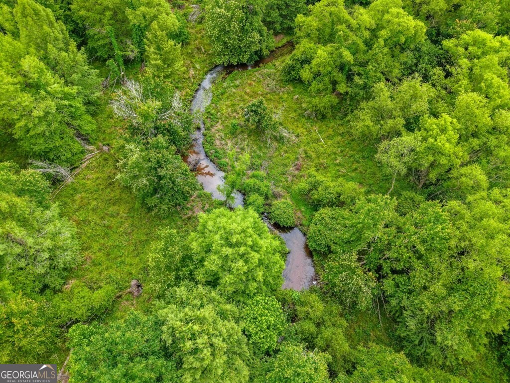 0 River Road Waynesboro GA 30830