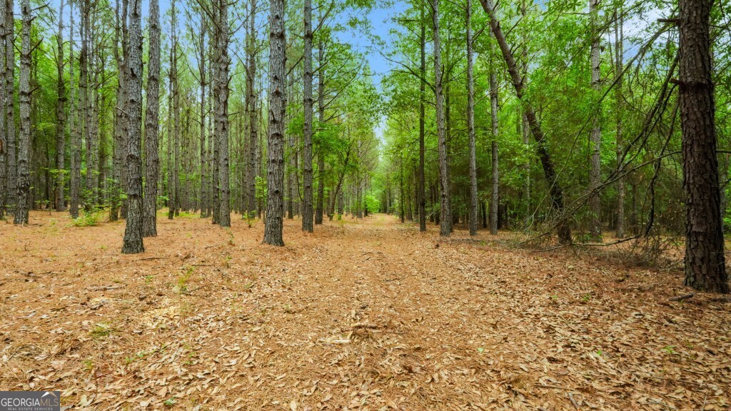 0 River Road Waynesboro GA 30830