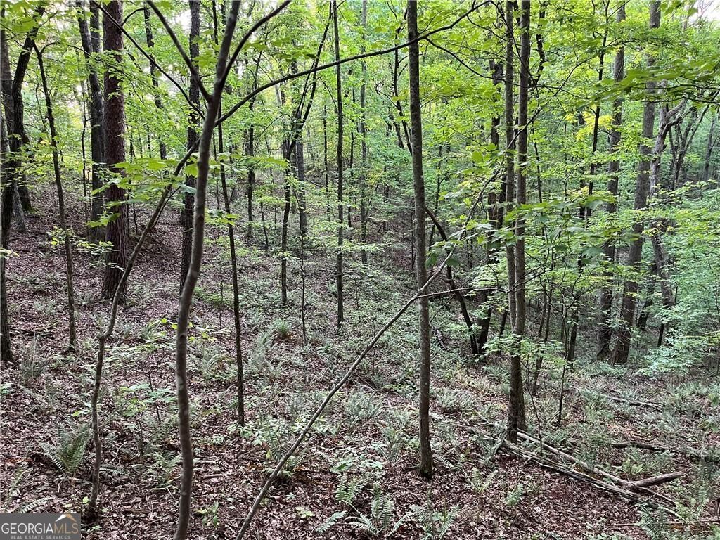 1720 Rebekah Ridge Road Talking Rock GA 30175