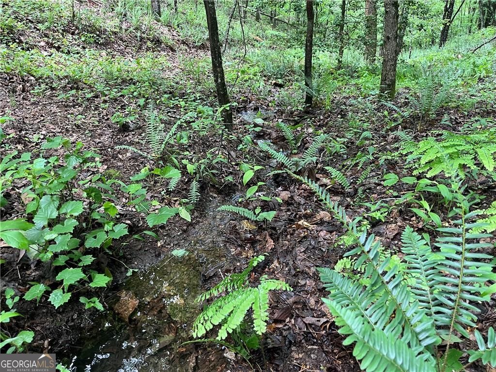 1720 Rebekah Ridge Road Talking Rock GA 30175