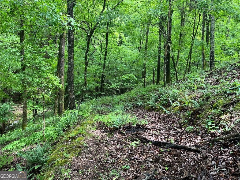 1720 Rebekah Ridge Road Talking Rock GA 30175