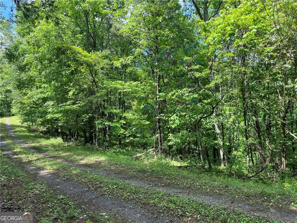 1720 Rebekah Ridge Road Talking Rock GA 30175