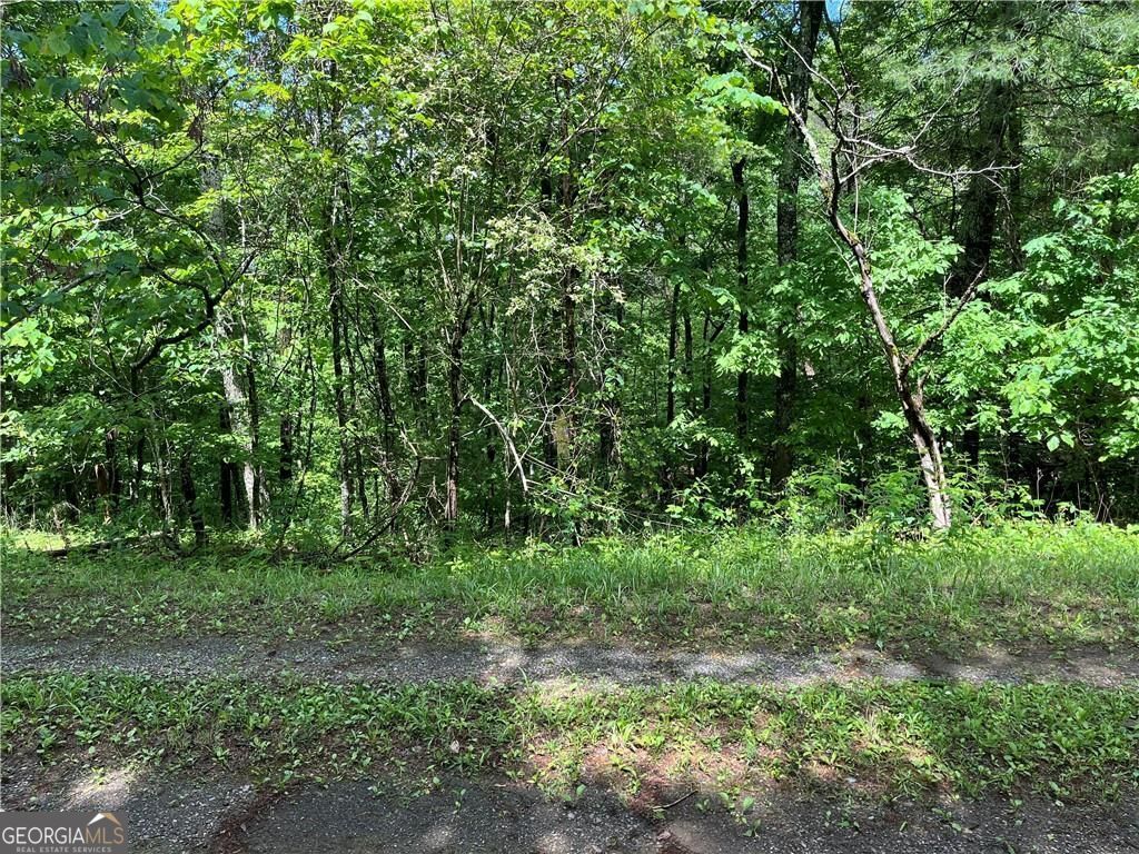 1720 Rebekah Ridge Road Talking Rock GA 30175