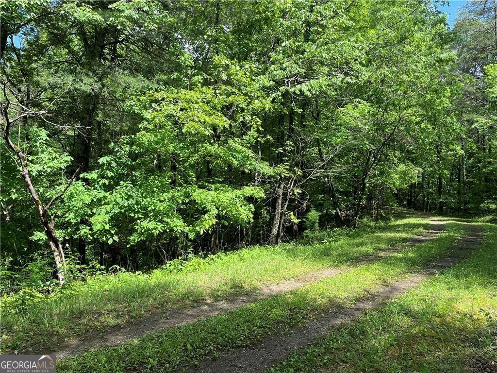 1720 Rebekah Ridge Road Talking Rock GA 30175
