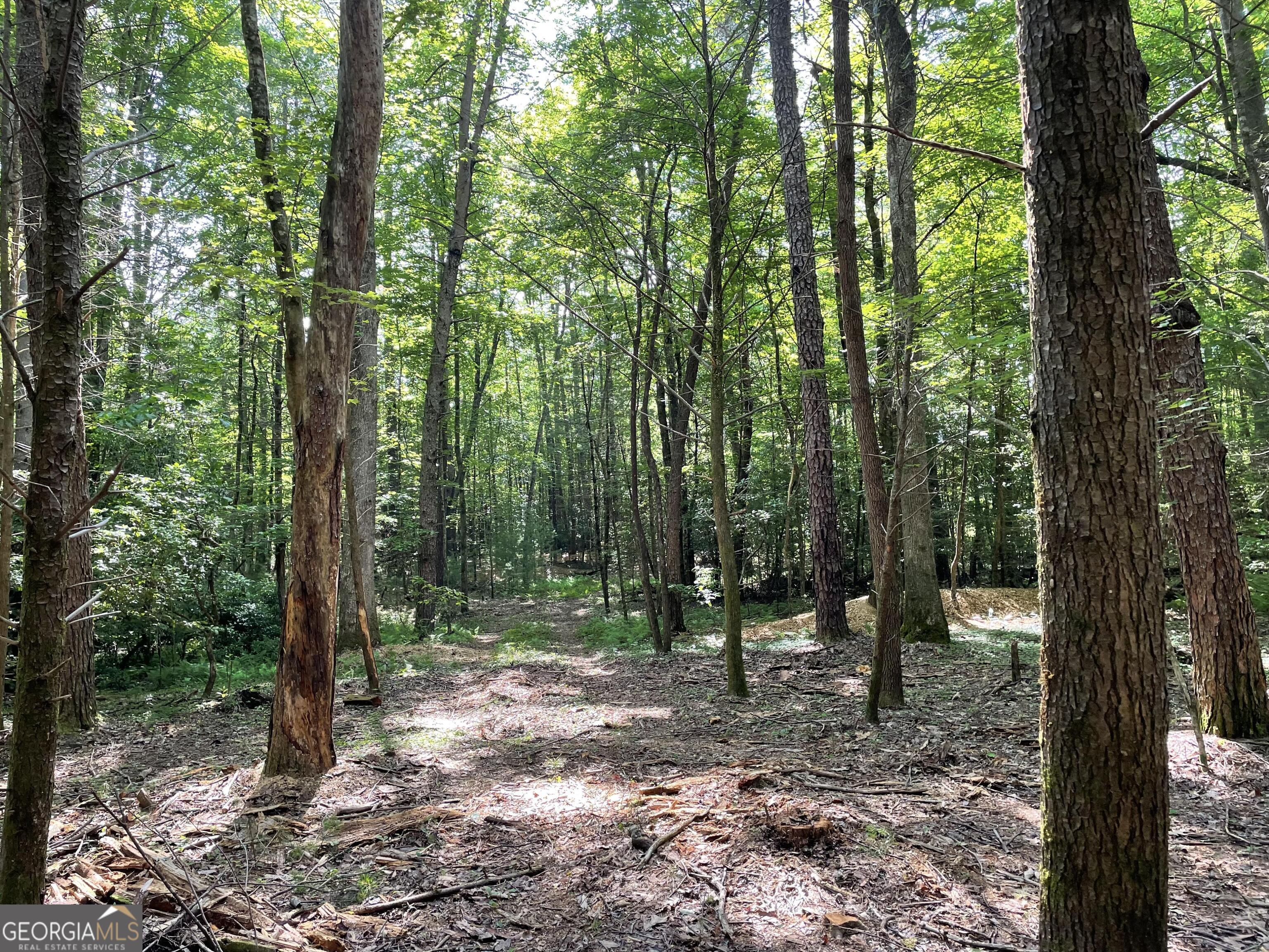 0 Rivers End Trail Suches GA 30572