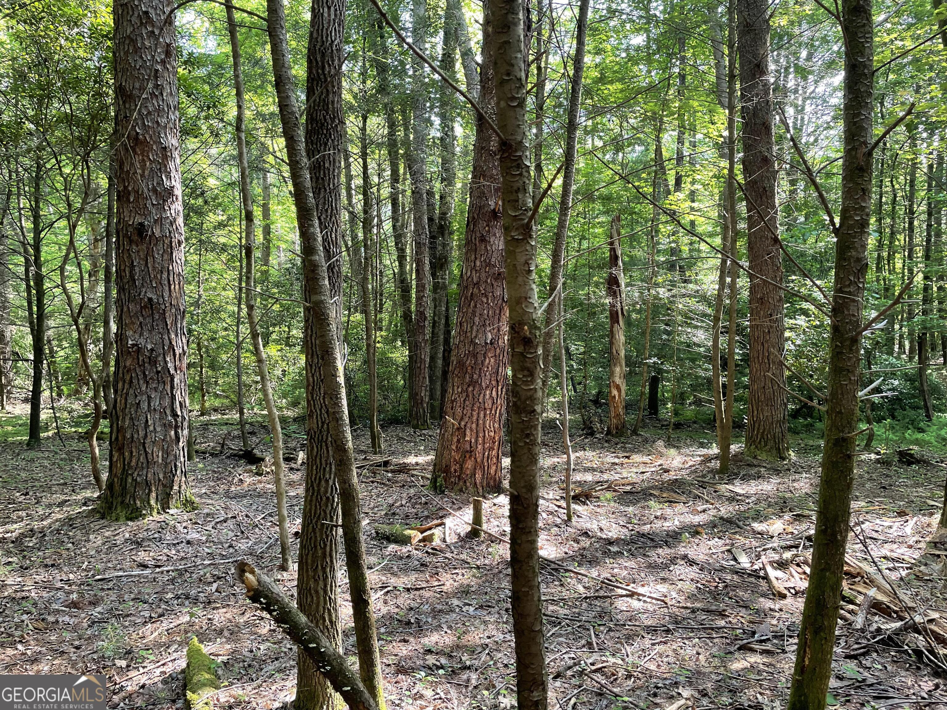 0 Rivers End Trail Suches GA 30572