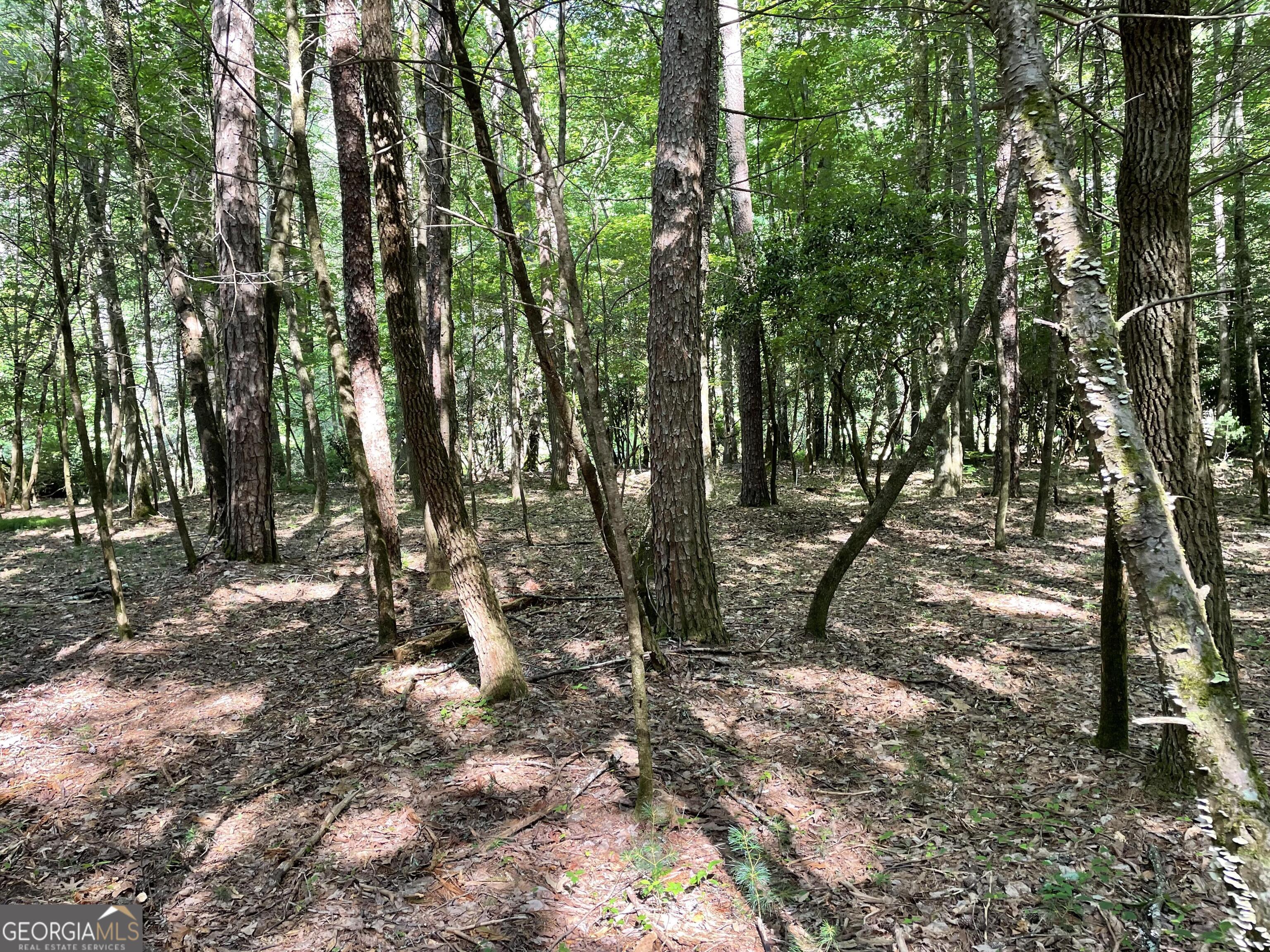 0 Rivers End Trail Suches GA 30572