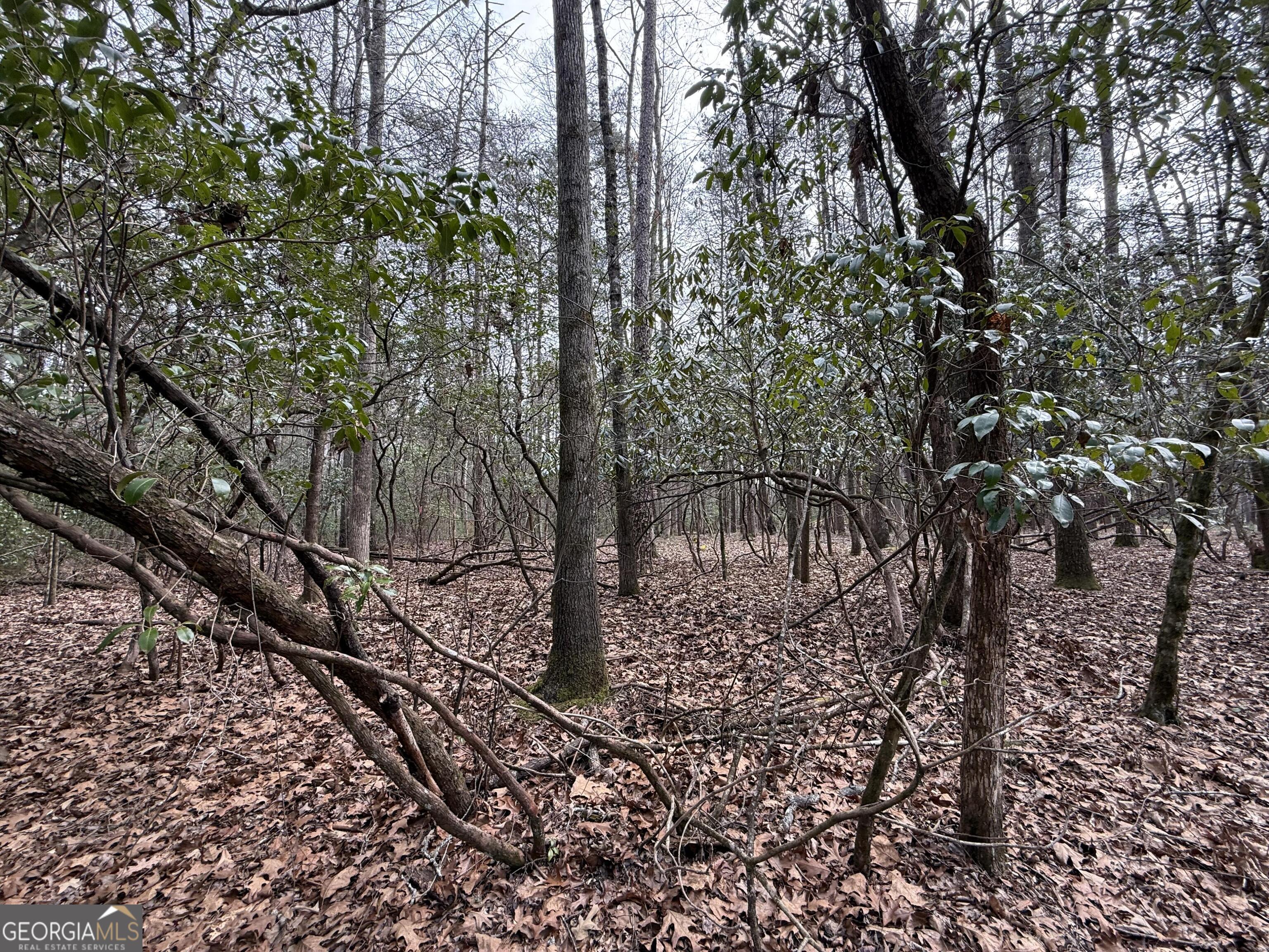 0 Rivers End Trail Suches GA 30572