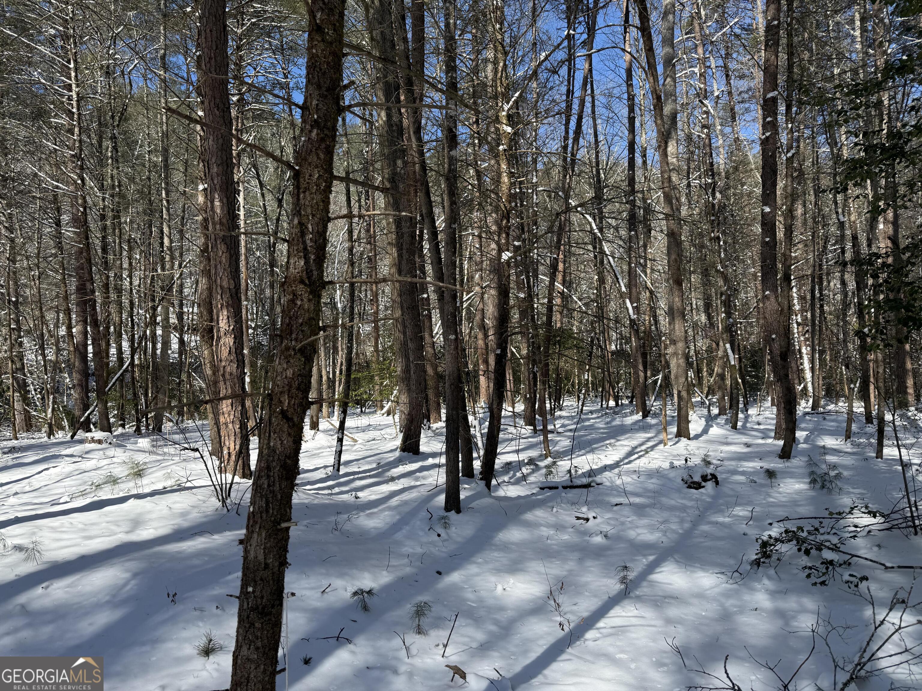 0 Rivers End Trail Suches GA 30572