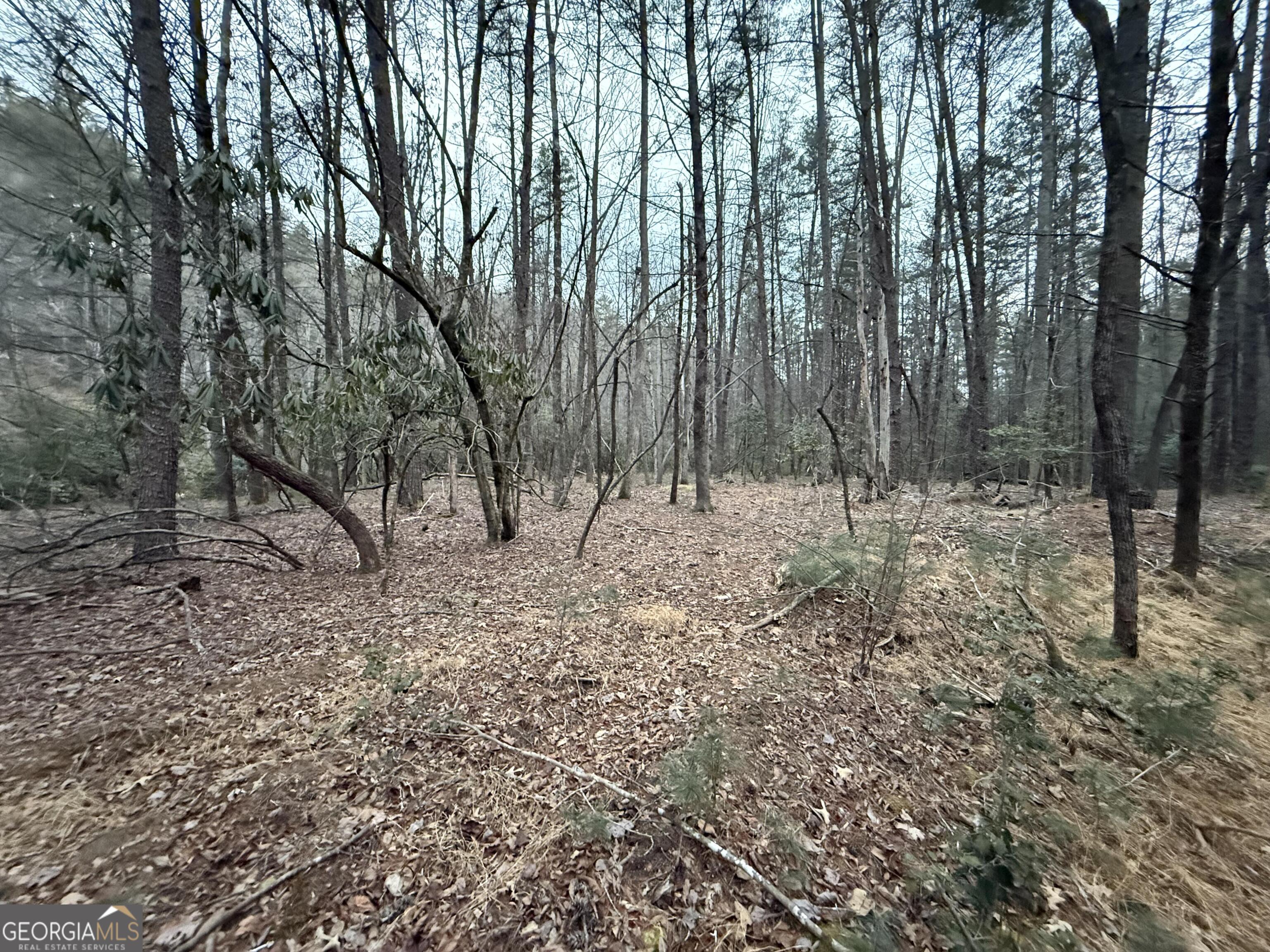 0 Rivers End Trail Suches GA 30572