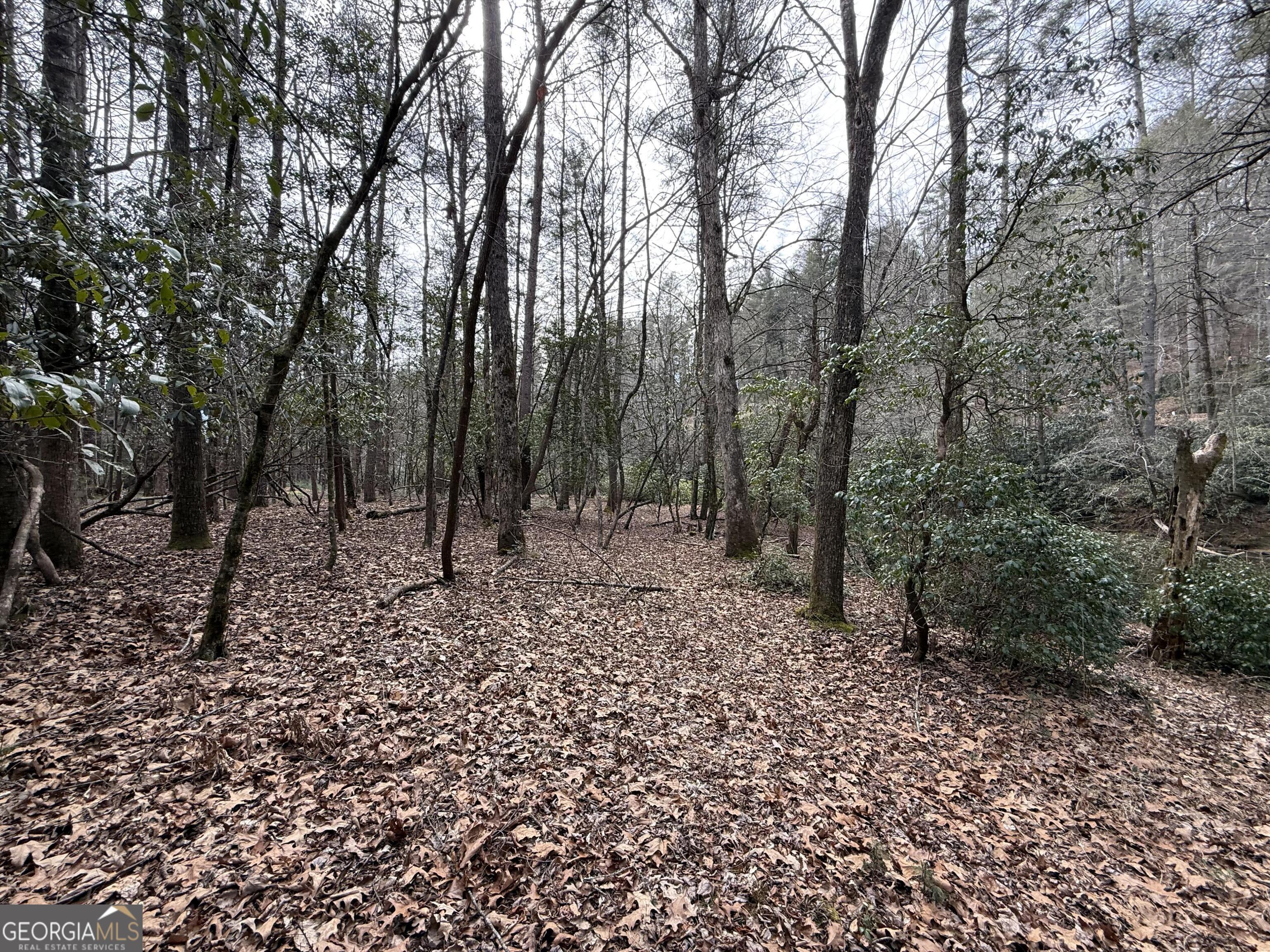 0 Rivers End Trail Suches GA 30572