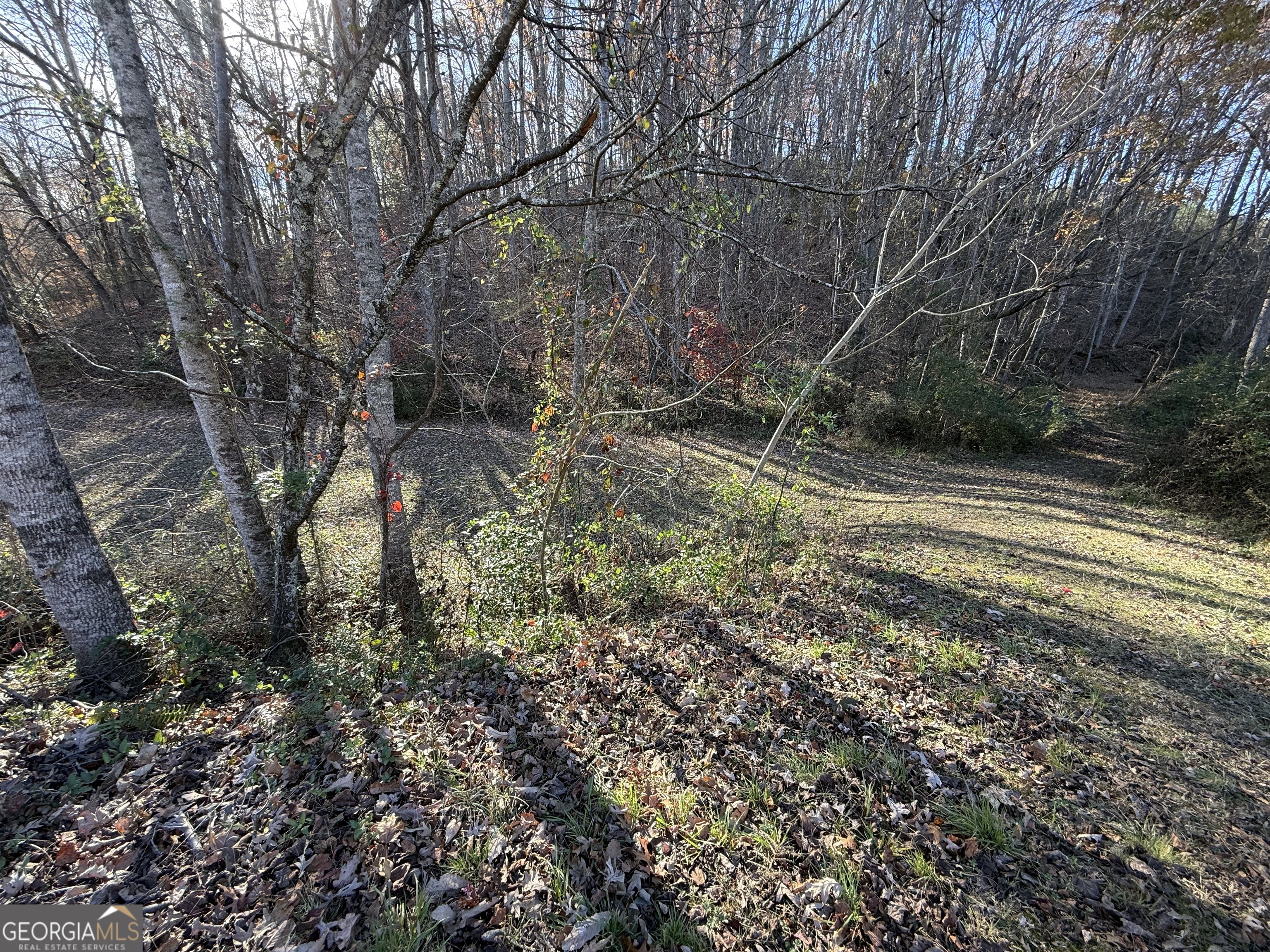 0 Duncan Bridge Road Cleveland GA 30528