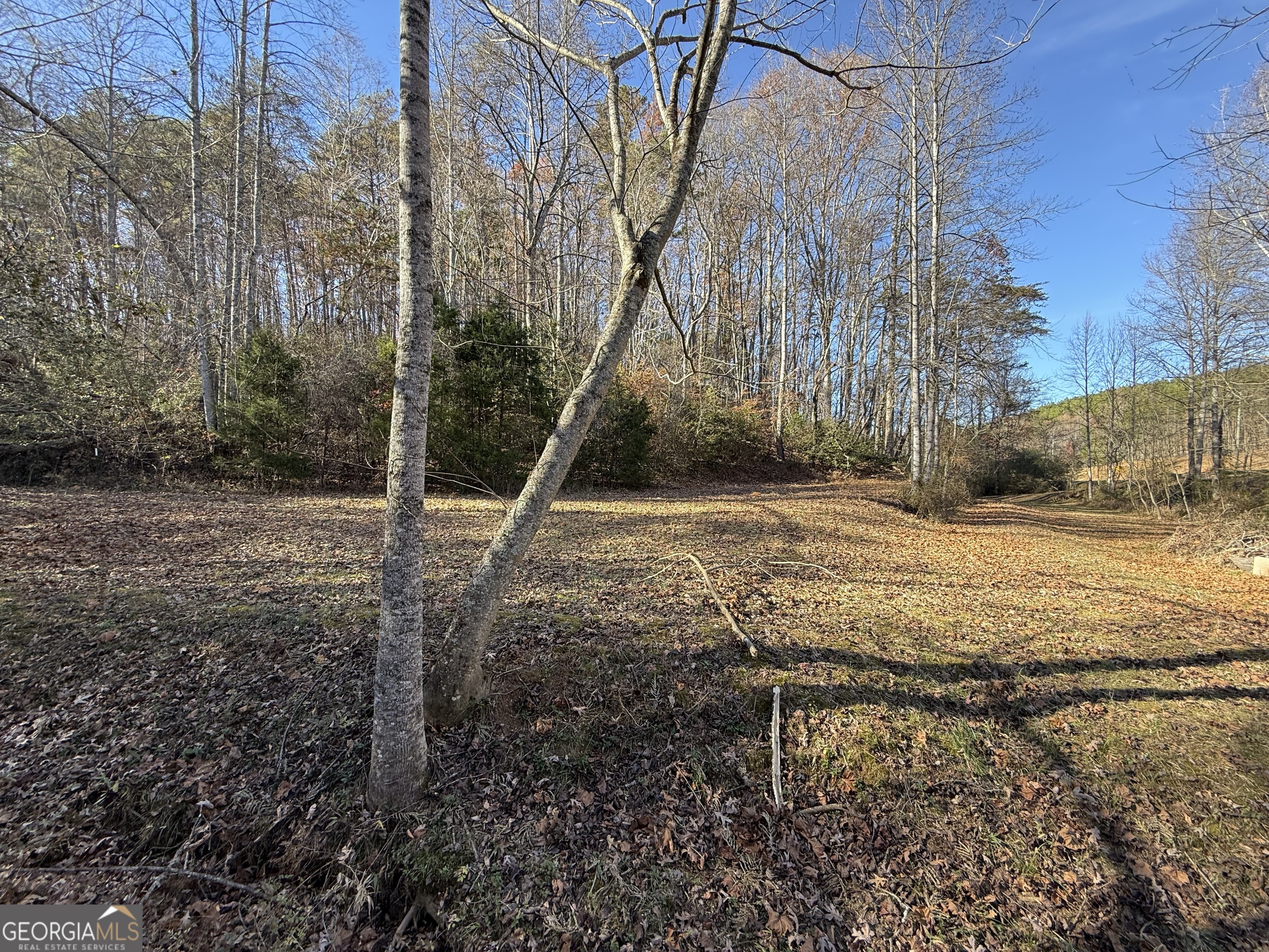 0 Duncan Bridge Road Cleveland GA 30528