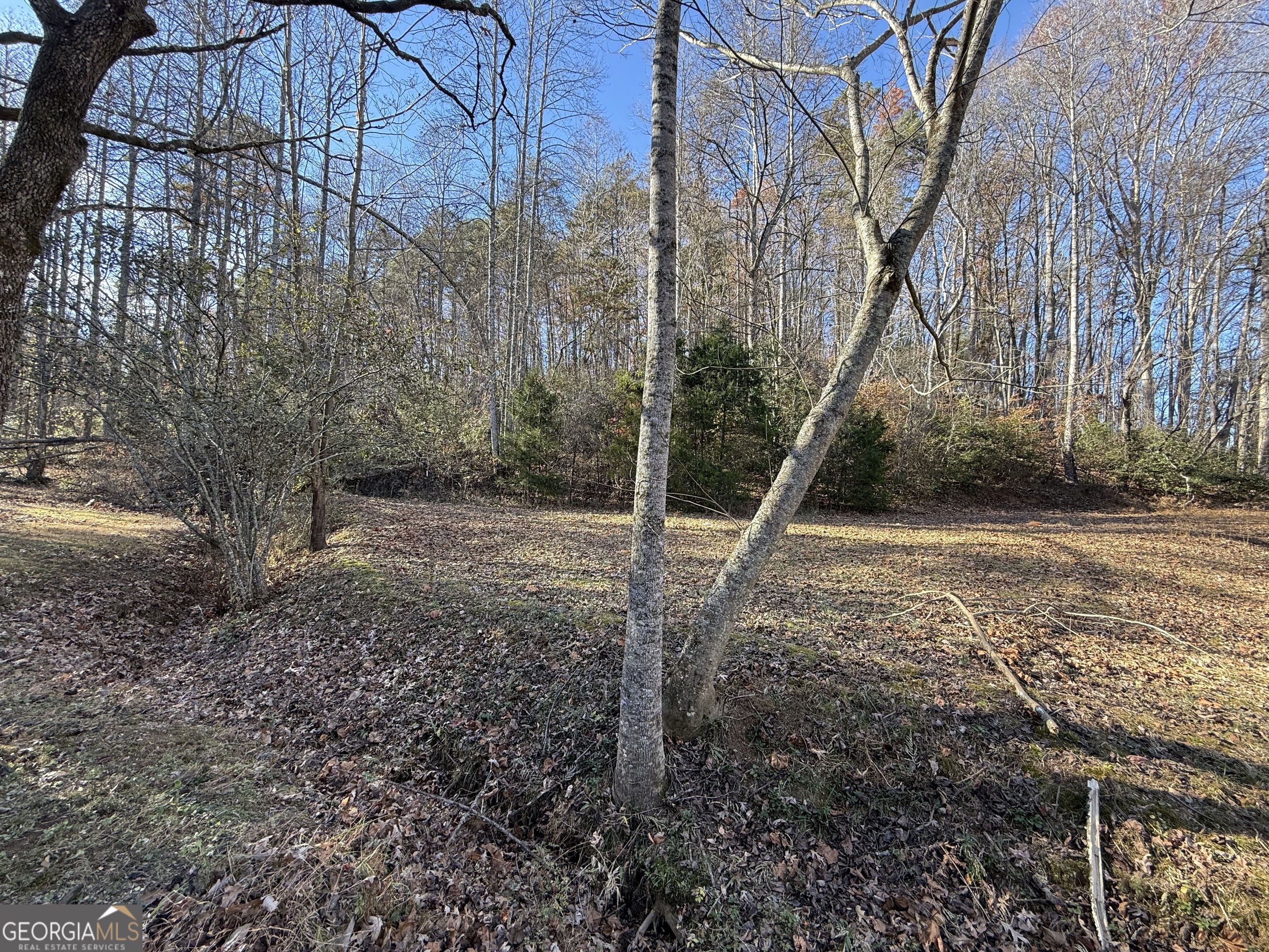0 Duncan Bridge Road Cleveland GA 30528