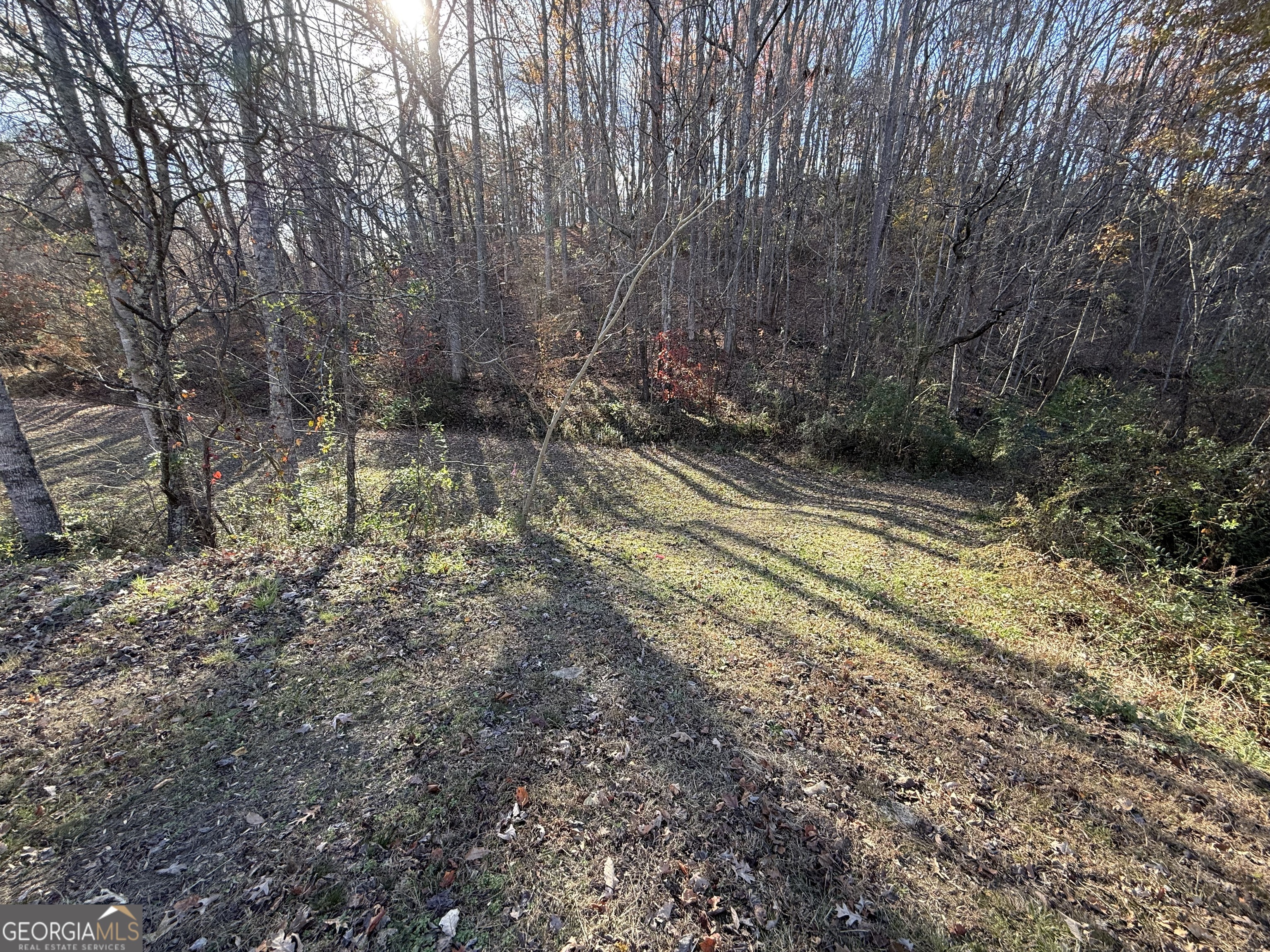 0 Duncan Bridge Road Cleveland GA 30528