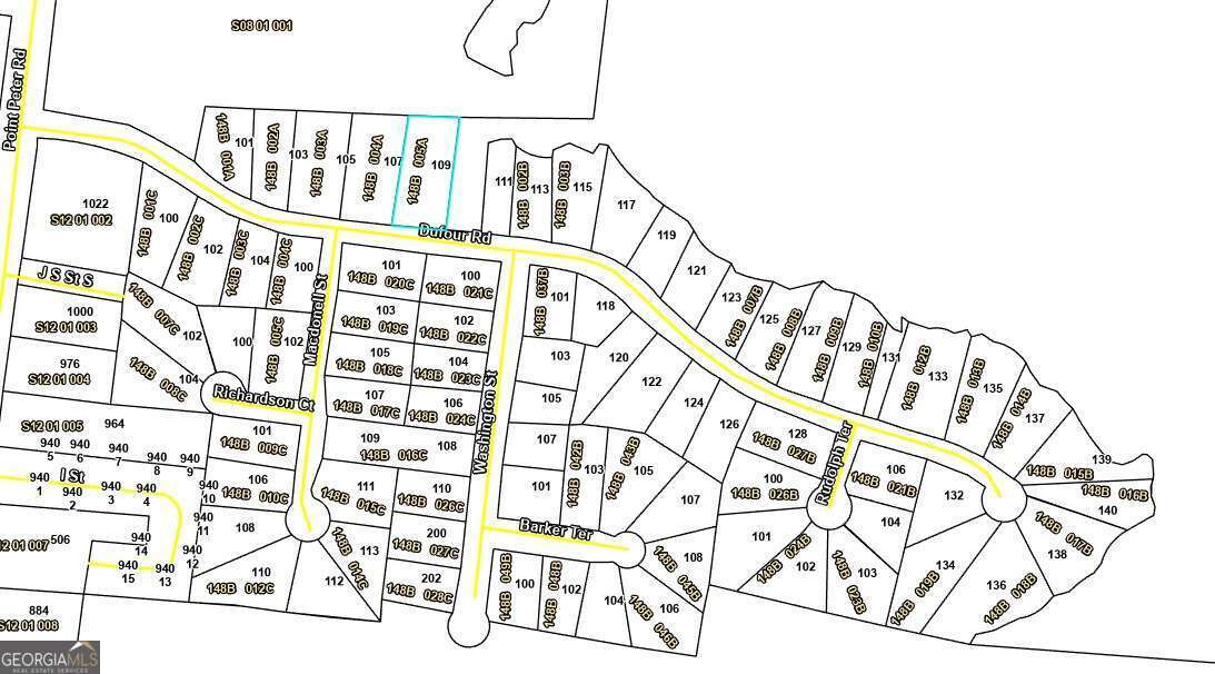 Lot 5b Dufour Road St. Marys GA 31558
