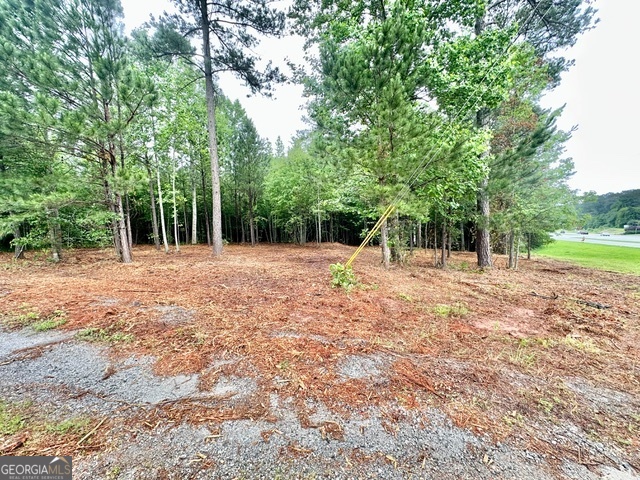14.5 Acres Highway 34 E Newnan GA 30265