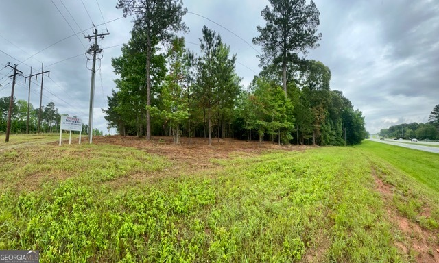 14.5 Acres Highway 34 E Newnan GA 30265