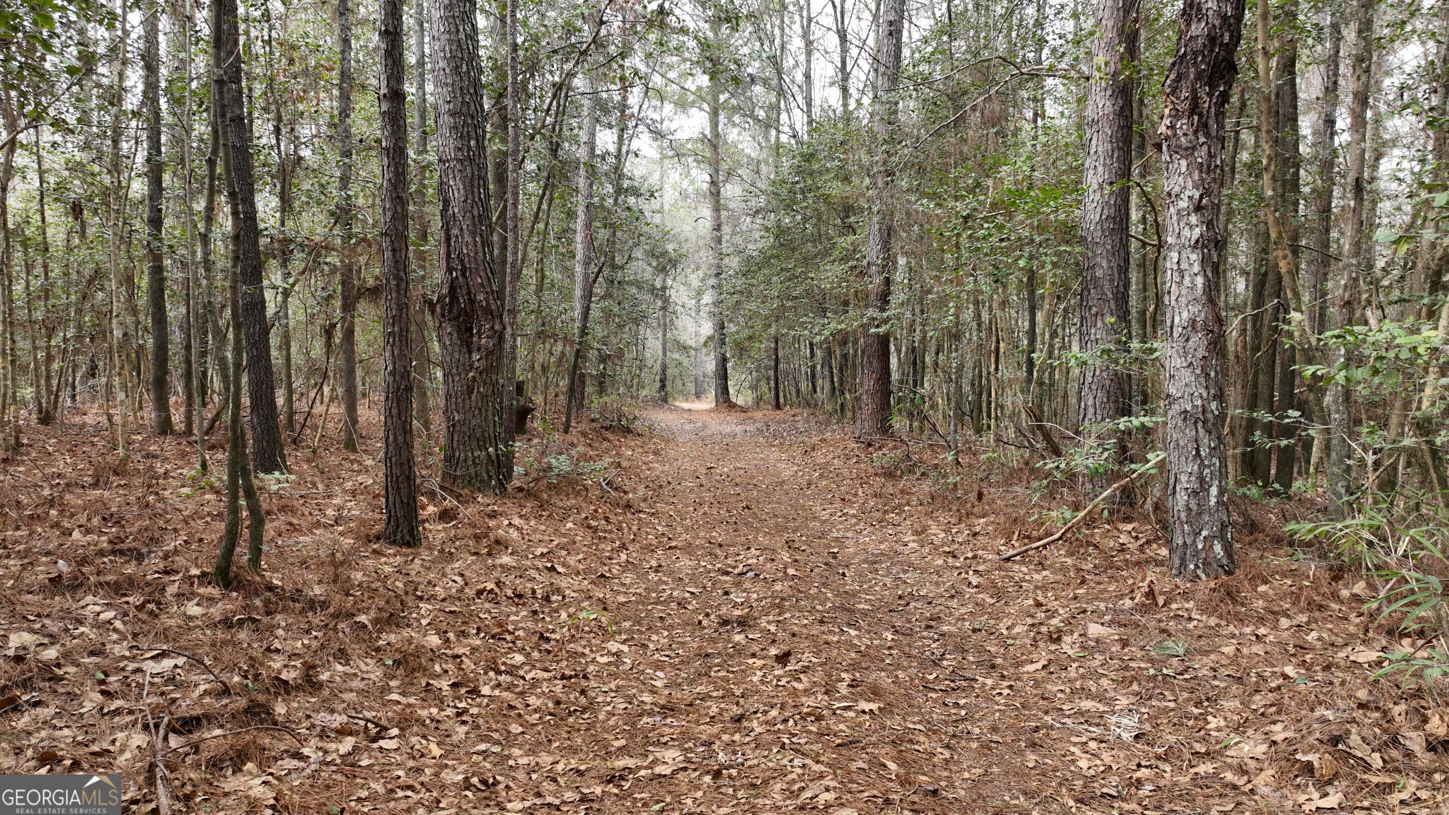 5257 Blume Road Mitchell GA 30820