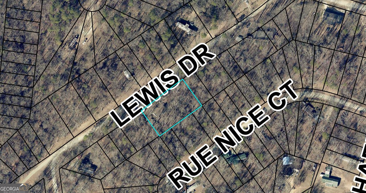 910 Lewis Drive Lavonia GA 30553