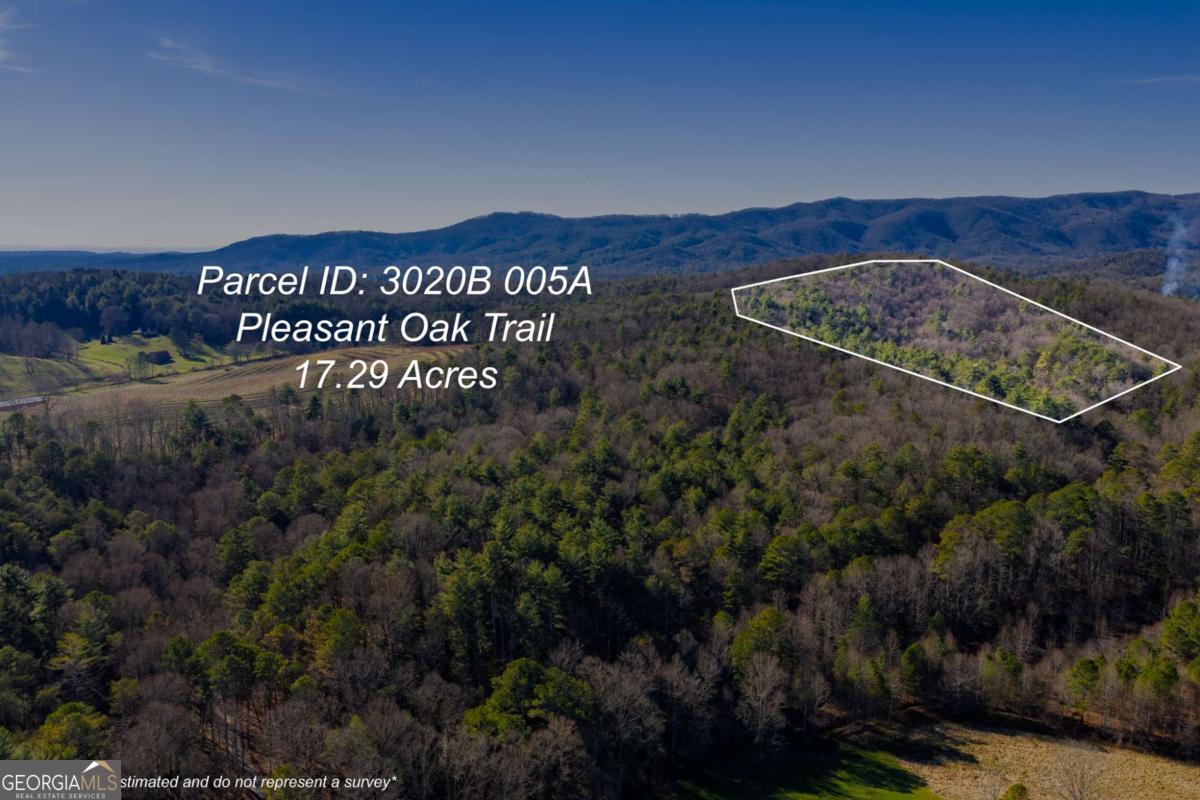 17.29 Ac Pleasant Oak Trail Ellijay GA 30540