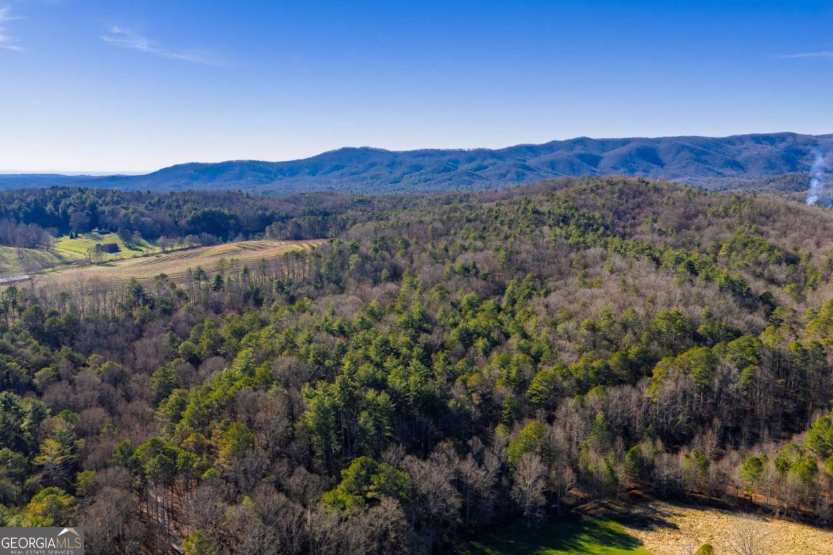 17.29 Ac Pleasant Oak Trail Ellijay GA 30540