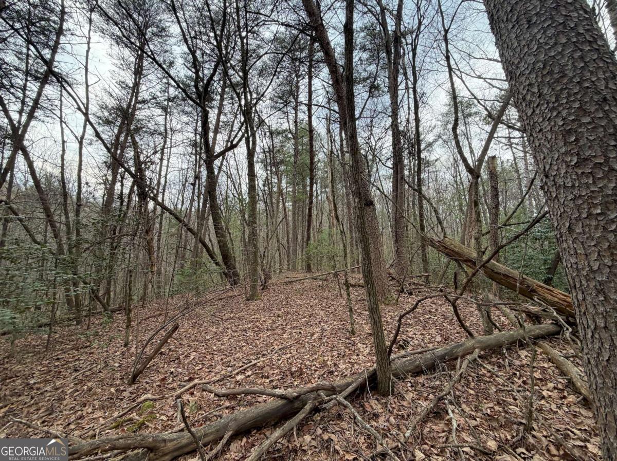 17.29 Ac Pleasant Oak Trail Ellijay GA 30540