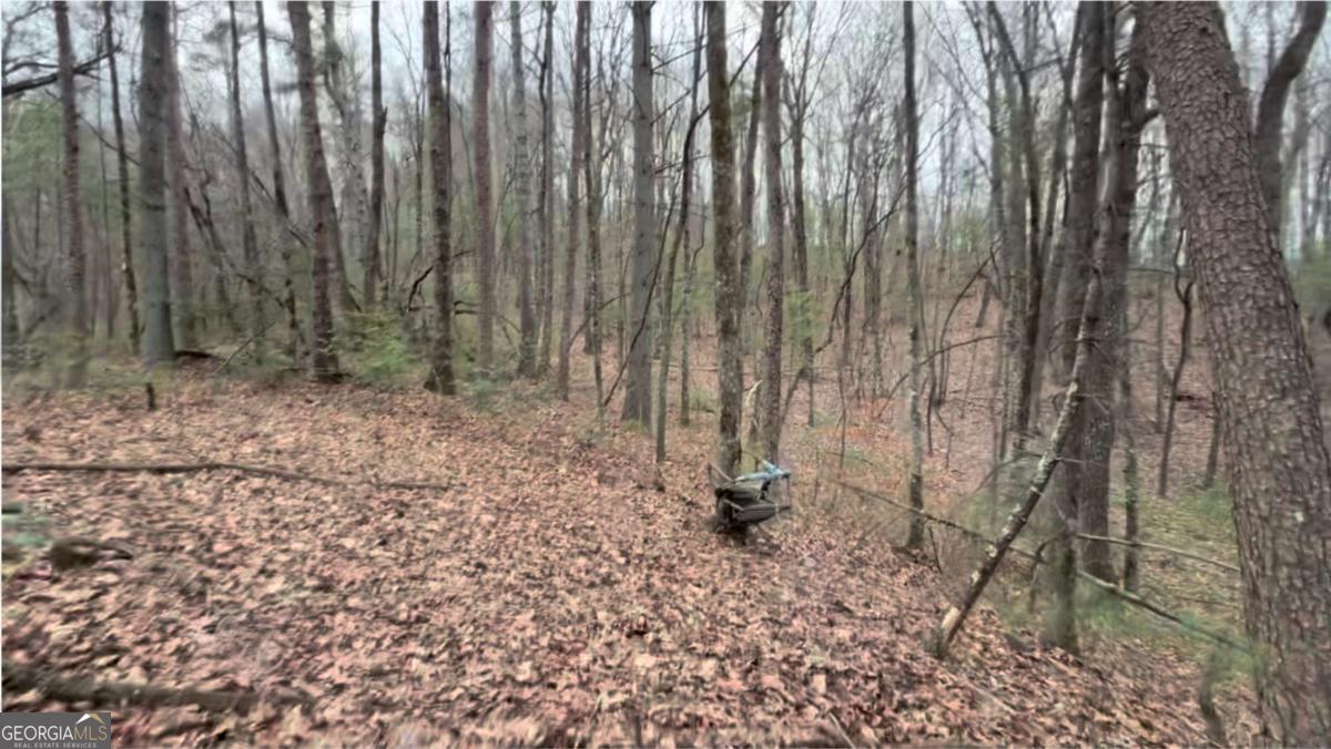 17.29 Ac Pleasant Oak Trail Ellijay GA 30540