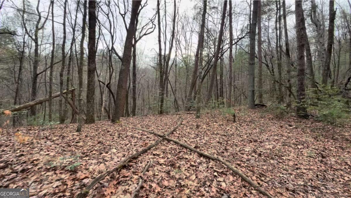 17.29 Ac Pleasant Oak Trail Ellijay GA 30540
