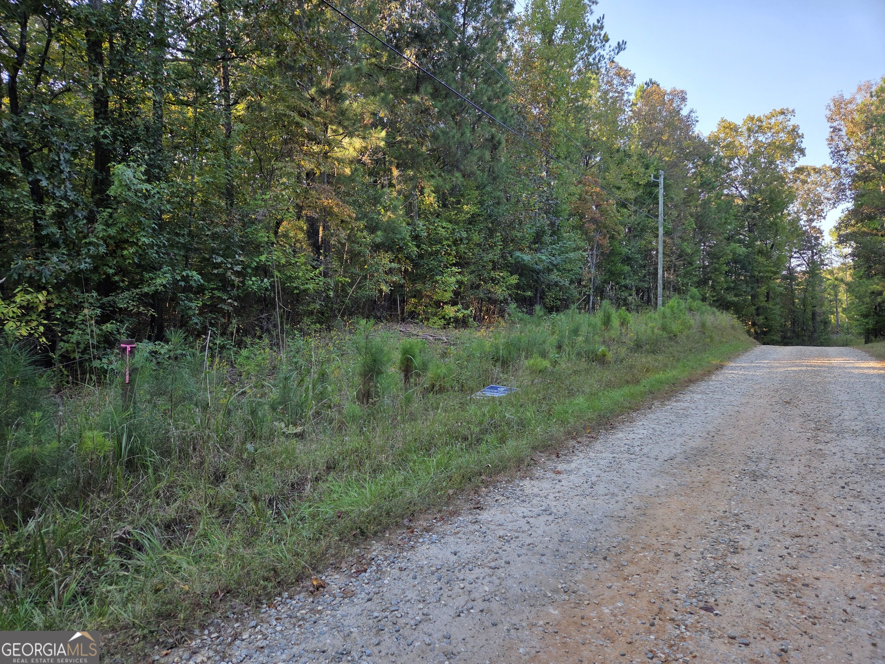 0 Vickers Road Flovilla GA 30216