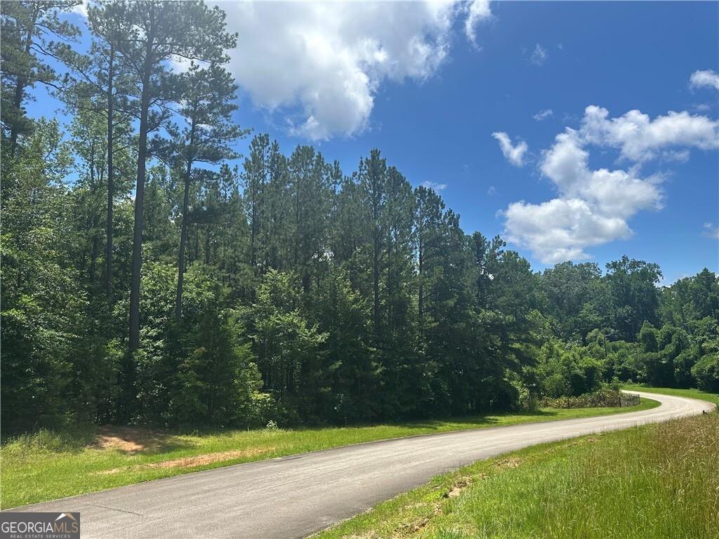 0 Elsberry Mountain Road Dallas GA 30132